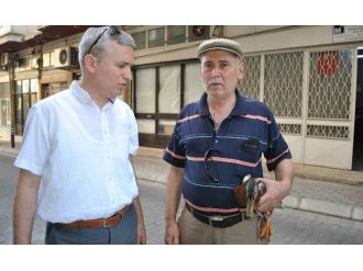 Aydınlı Mali Müşavir Yaralı Yaban Ördeğine Sahip Çıktı