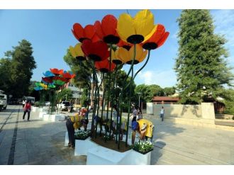 Aydın Sokaklarını Gelincikler Aydınlatacak