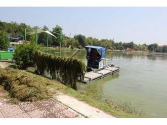 Fuardaki Gölette Yosun Temizliği Yapıldı