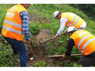 Gelir Getirici Fidanlara Bakım Yapıldı