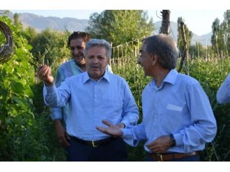 Valimiz Sayın Süleyman Kahraman, Seracılık Projesi İçin İncelemelerde Bulundu