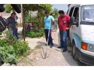 Havalar Isındı, Yılanlar Şehre İndi