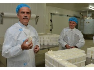 Besaş’ın Yeni Ürünü Beyaz Peynir