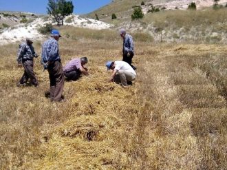 Kütahya’da Biçerdöver Denetimi