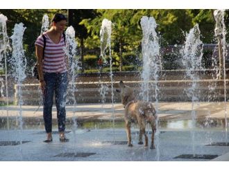 Sıcaktan Bunalan Köpek Su Fıskiyesinde Serinledi