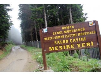 Tkdk Desteğiyle Yaz Ve Kış Turizmine Ev Sahipliği Yapacak