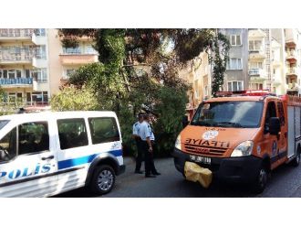 Çam Ağacının Kırılan Dalı Altından Geçen Aileyi Korkuttu