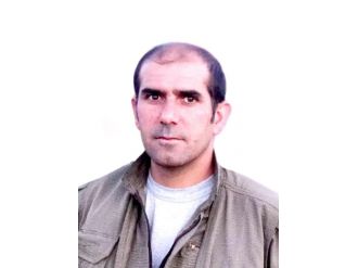 Pkk’nın Üst Düzey Yöneticisi Öldürüldü