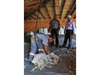 Büyükşehir’den Çiftçilere “Kırkımcı” Kursu