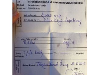 Sokak Hayvanlarına Destek İçin Sanal Mağaza Açtı