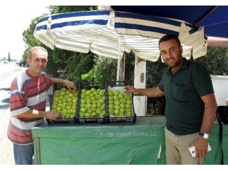 Aydın’da Yılın İlk İncirleri Tezgahlarda Yerini Aldı