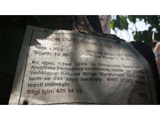 Bu Konak Sanat Kokuyor