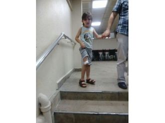 Başıboş Köpekler Tehlike Saçıyor