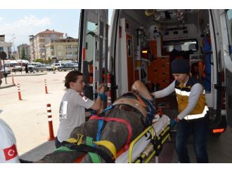 Üzerine Demir Kapı Düştü