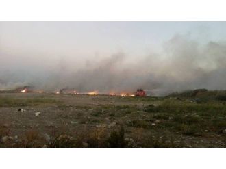 Sazlık Alan Yine Yandı