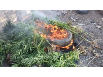 Seydikemer’de 10 Kilo Esrar Yakalandı