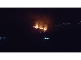 Sınırda Orman Yangını