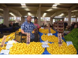 Limon Fiyatları Tavan Yapınca