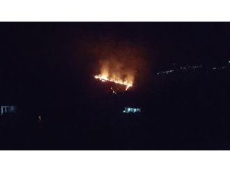 Sınırda Orman Yangını