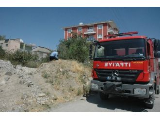 Van’da Ot Yangını