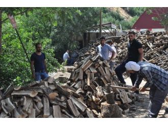 Bitlis’te Odun Fiyatları El Yakıyor