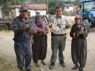 Bilecik’te Kene Avı İçin Köylülere Ücretsiz 200 Beç Tavuğu Dağıtıldı