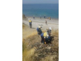 Tuşba Belediyesi’nden Sahil Temizliği