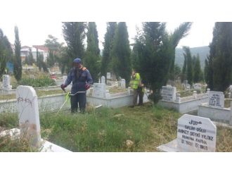 Dilovası Mezarlıkları Temizleniyor