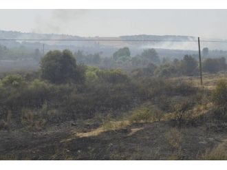 Lice’de Tekrar Alevlenen Yangın Kontrol Altına Alındı