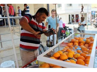 Sıcaklar İnsanları Da, Hayvanları Da Bunalttı
