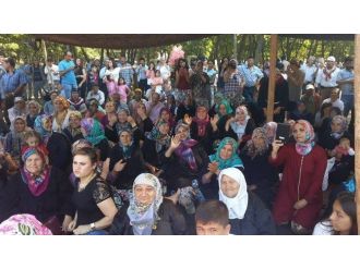 Yörükler Bozağaç Yaylasında Buluştu