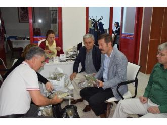 Sındırgı’da Yeni Geçim Kaynağı Tıbbi Ve Aromatik Bitkiler