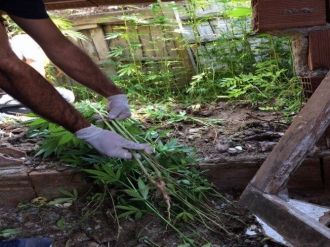 Denizli’de Uyuşturucu Operasyonu: 9 Tutuklama