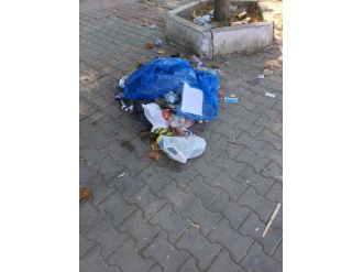 Elinden Giden Barınaktan Hizmeti De Çekti