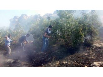 Silvan’da 6 Köyde Yangın Çıktı