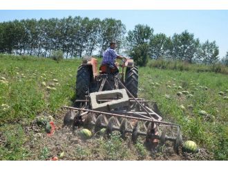 (Özel Haber) Savaş Ve Operasyonlar Kavun Karpuz Üreticisini De Vurdu