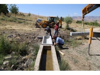 Tunceli İl Özel İdaresinden Hayvancılığa Destek