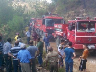 Balıkesir’de Orman Yangını...