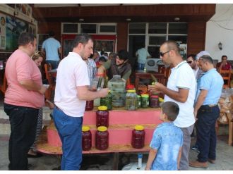 Ordulu Turşuculara Gurbetçi Ve Turist Akını