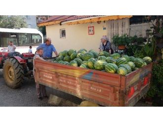 Bütün Köy Bedava Karpuza Doydu