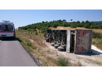 Arıyı Kovalarken Kullandığı Tır’ı Devirdi