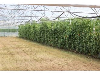 Sarıcakaya Tarımda Başarısını Katlayacak