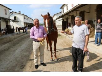 Salman, Yürüyen Köşk Koşusu İçin Ekinci’den Söz Aldı