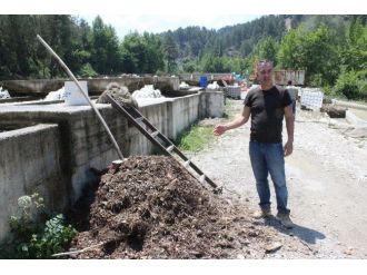 Sel Suları 250 Bin Balığı Telef Etti