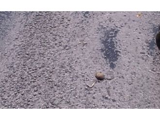 Kadıköy’de Korkutan Görüntü