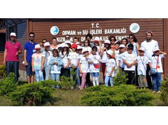 ‘Dikkuyruk Ve Arkadaşları’ Tegv’li Öğrencilerle Buluştu