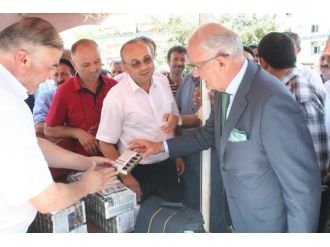 Büyükşehir Belediyesi ‘Ana Arı’ Dağıttı