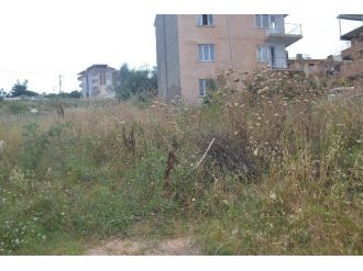 Fare Ve Yılan Nöbeti Tutuyorlar