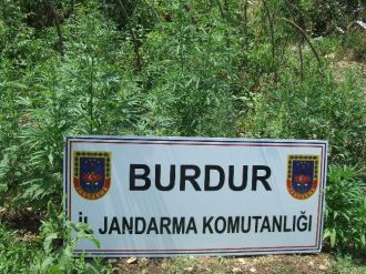 Burdur’da Hint Keneviri Operasyonu