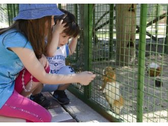 Çukurova Bölgesi’nin İlk Ve Tek Doğal Yaşam Merkezi